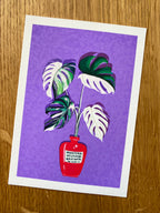 Monstera Variegata Full Moon Illustration - Art Print, by KKArts