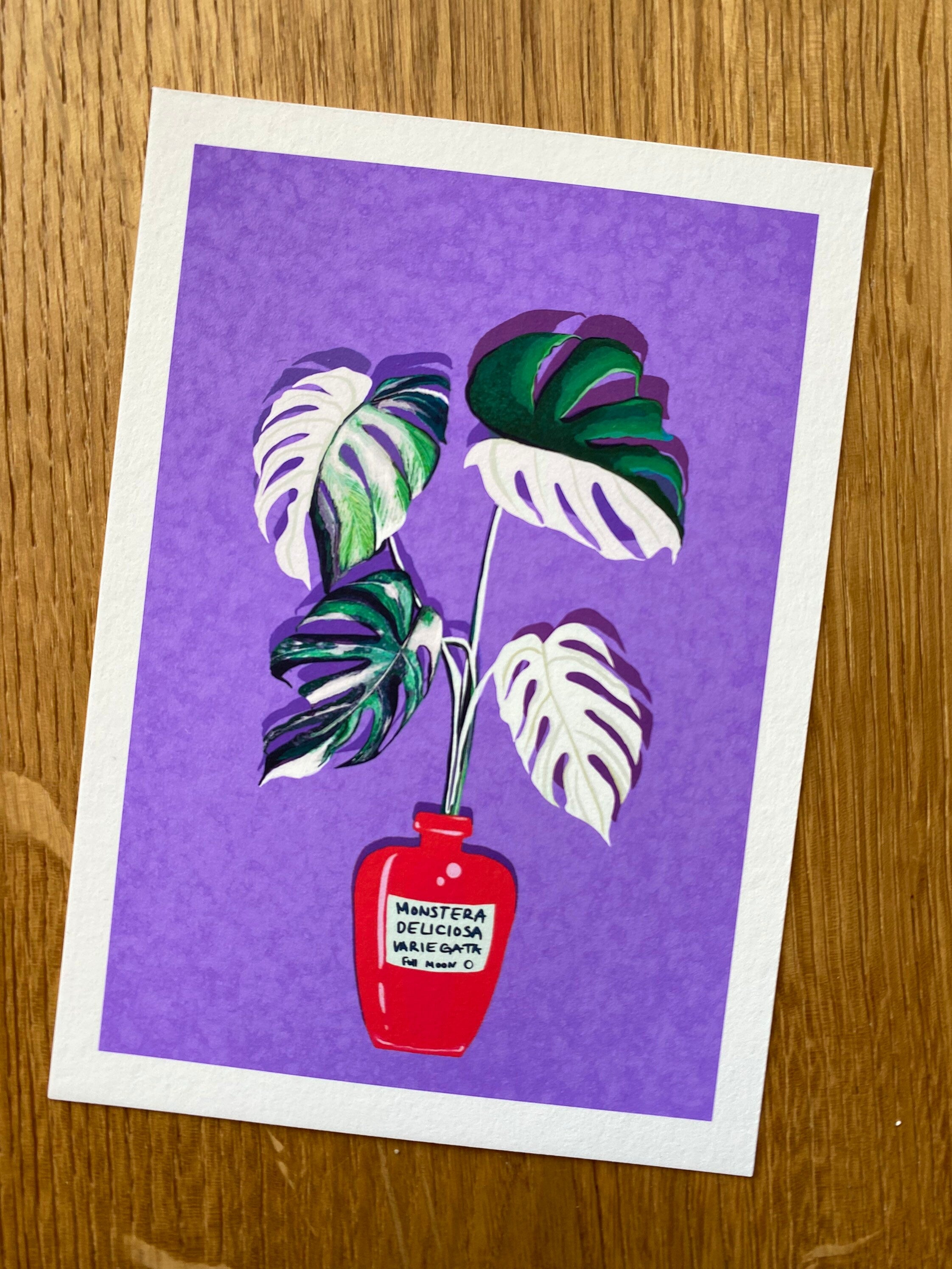 Monstera Variegata Full Moon Illustration - Art Print, by KKArts