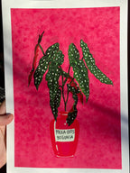 Polka Dot Begonia Art Print: Botanical Illustration