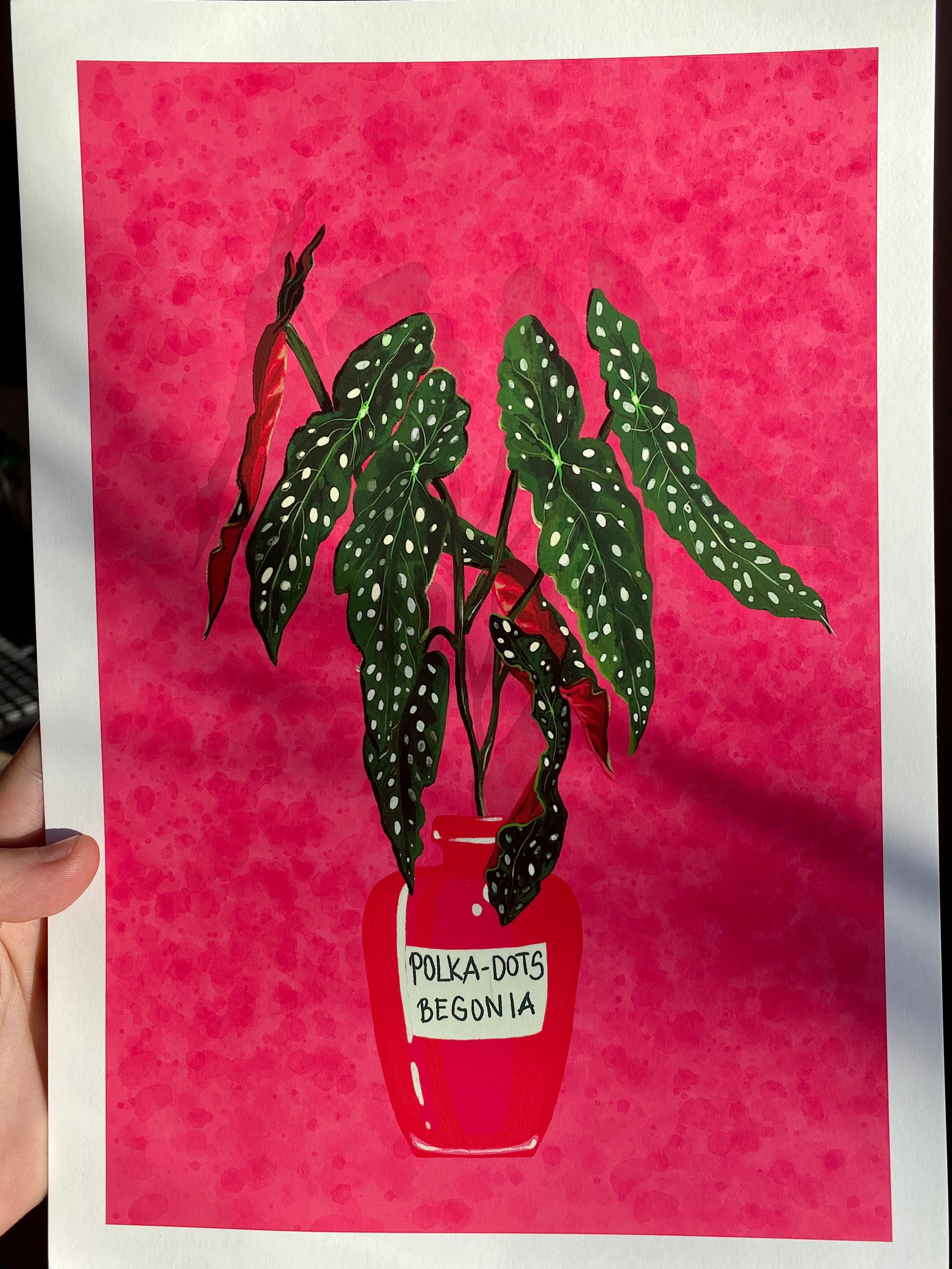Polka Dot Begonia Art Print: Botanical Illustration