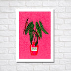 Polka Dot Begonia Art Print: Botanical Illustration