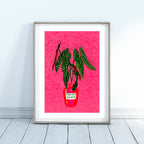 Polka Dot Begonia Art Print: Botanical Illustration