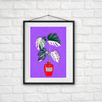 Monstera Variegata Full Moon Illustration - Art Print, by KKArts