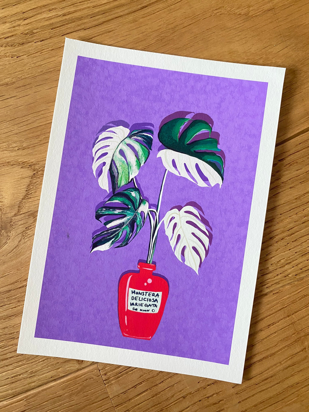 Monstera Variegata Full Moon Illustration - Art Print, by KKArts