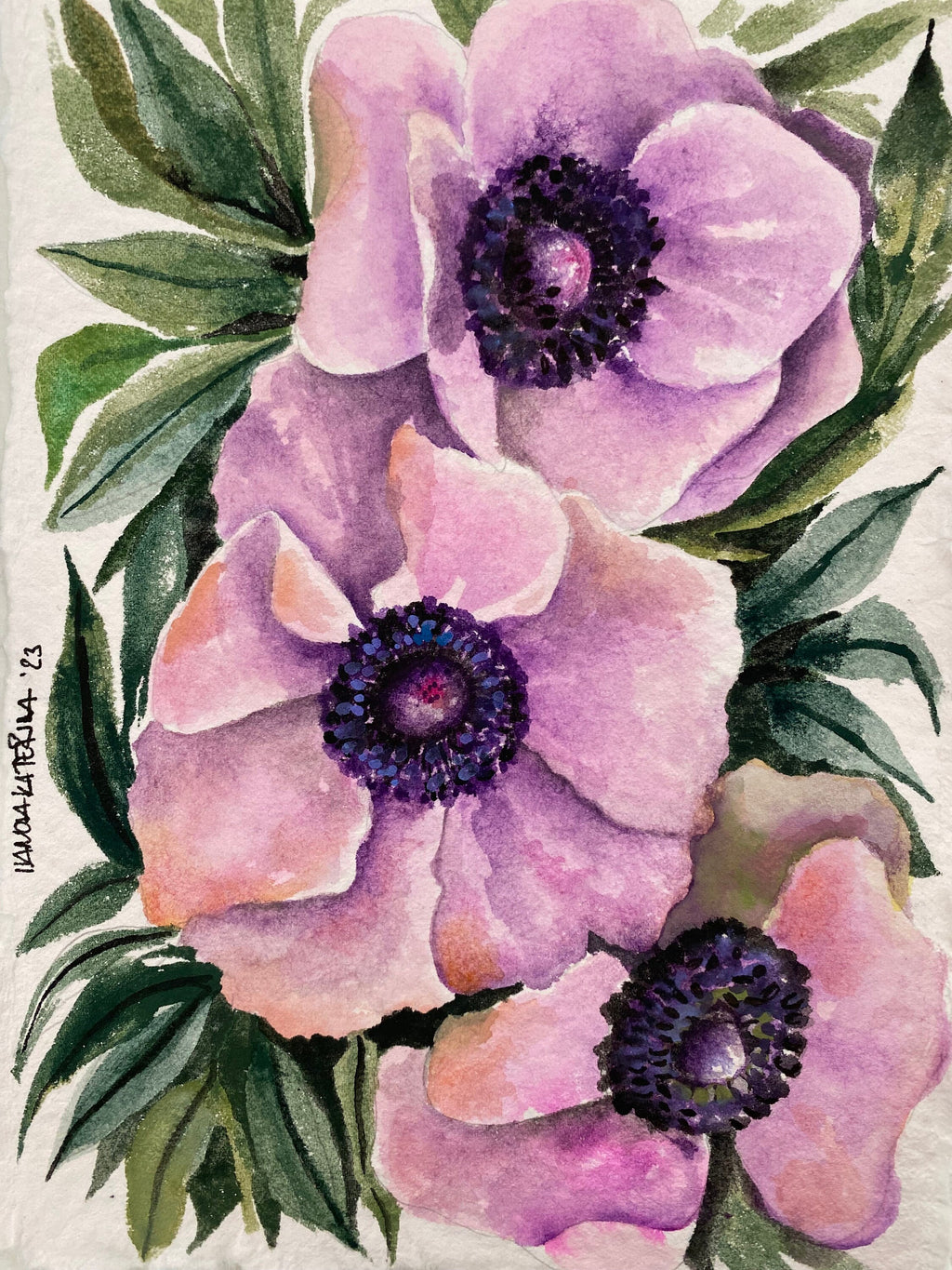 Original Anemone Flower Watercolor Painting on Handmade Paper