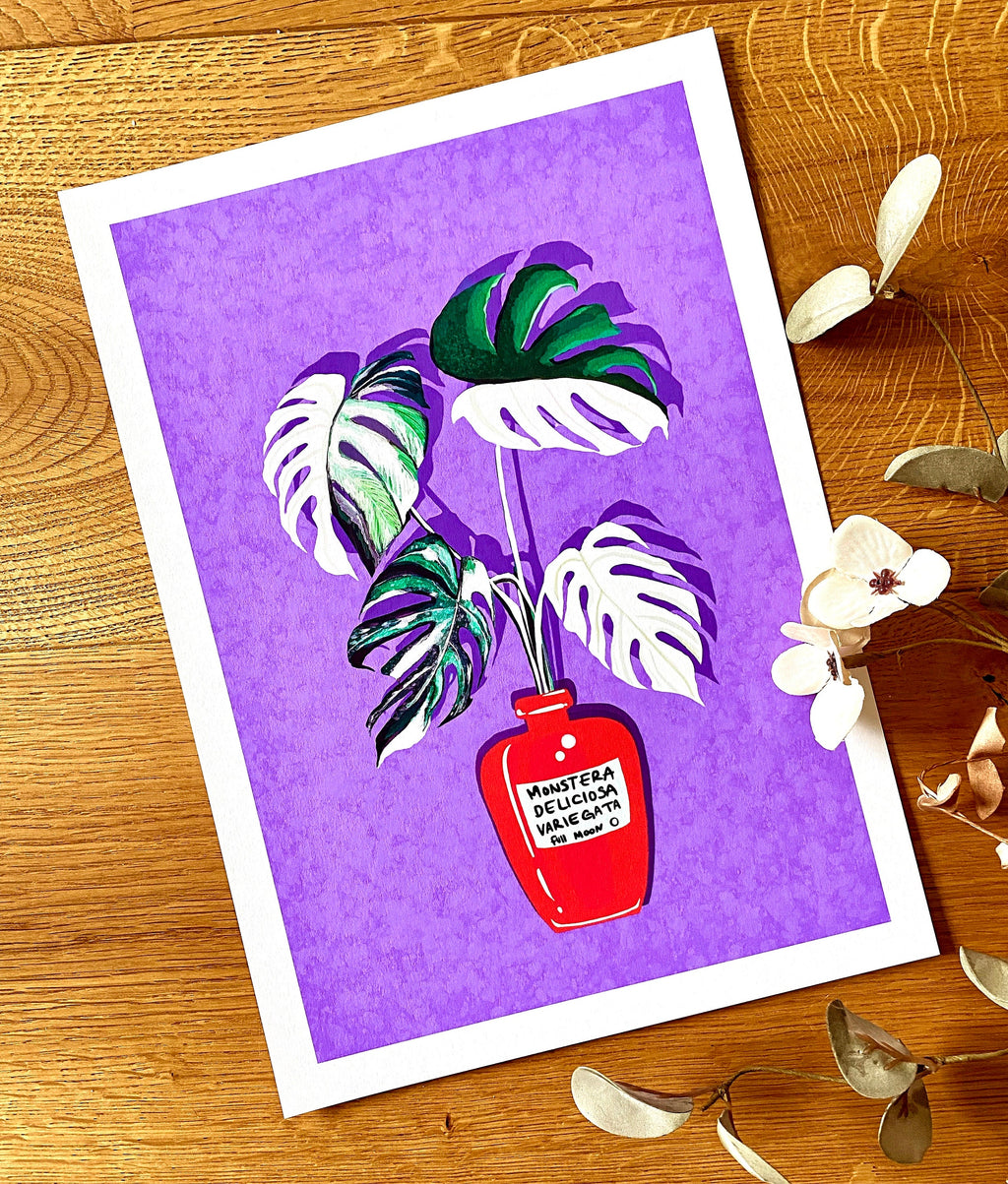 Monstera Variegata Full Moon Illustration - Art Print, by KKArts