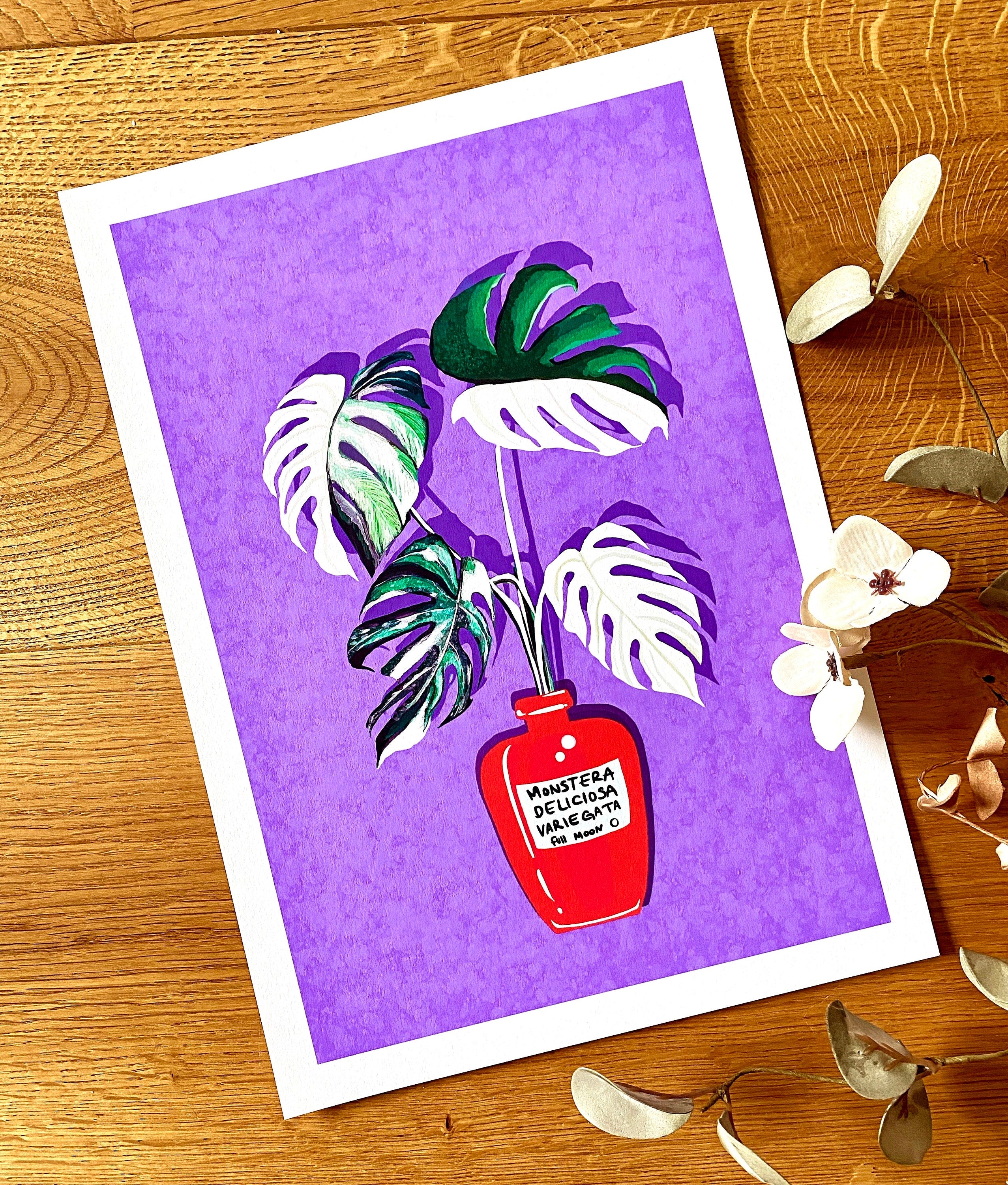 Monstera Variegata Full Moon Illustration - Art Print, by KKArts